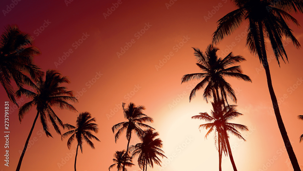 Silhouettes of coconut trees against the background of a red sunset sky. Tropical beach landscape. Indian sunset. Hot evening on the seashore. Orange sun in the red sky.