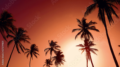 Silhouettes of coconut trees against the background of a red sunset sky. Tropical beach landscape. Indian sunset. Hot evening on the seashore. Orange sun in the red sky. © murkalor7