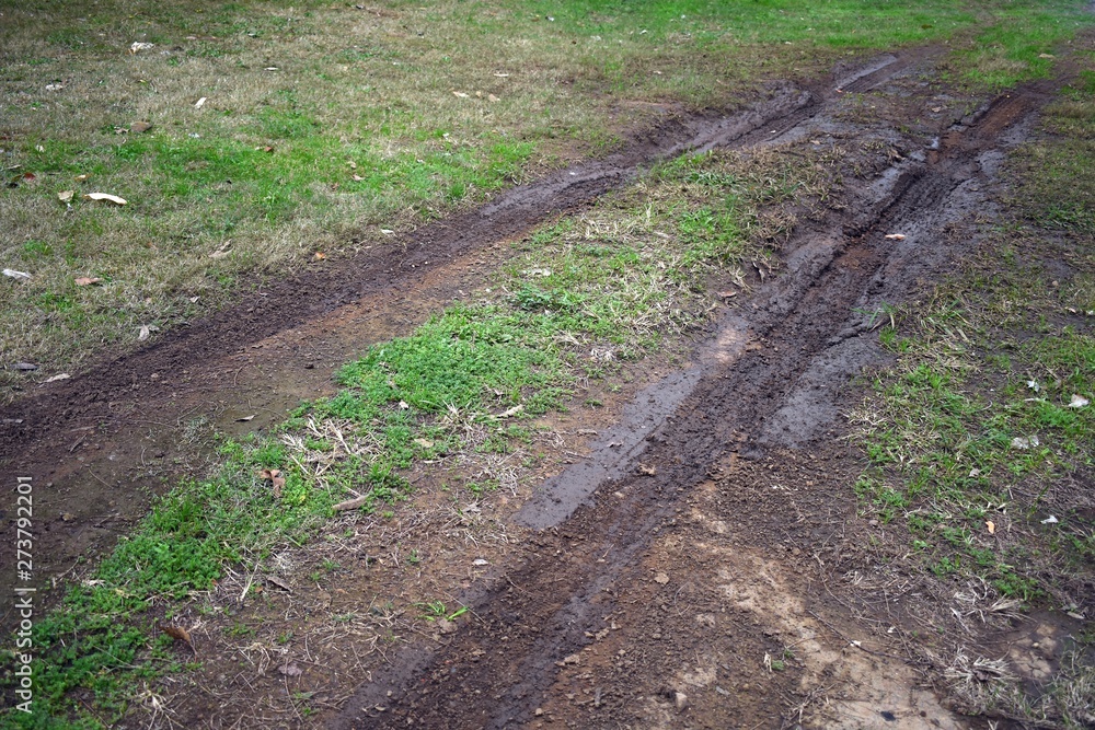 Tyre marks in a wet muddy ground Tyre marks in a wet muddy ground