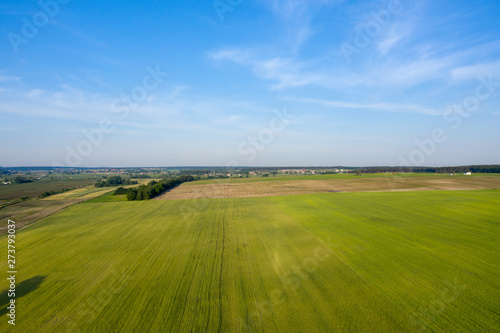 wild field, view from above