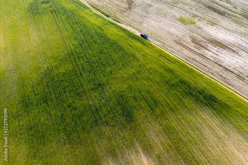 wild field, view from above