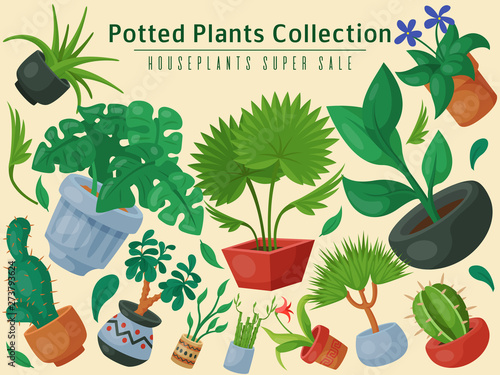 House flowers indoor floriculture super sale poster vector illustration. Nature home decoration gardening. Indoor plants in flowerpot beauty decorative flora. Foliage exotic garden houseplant.