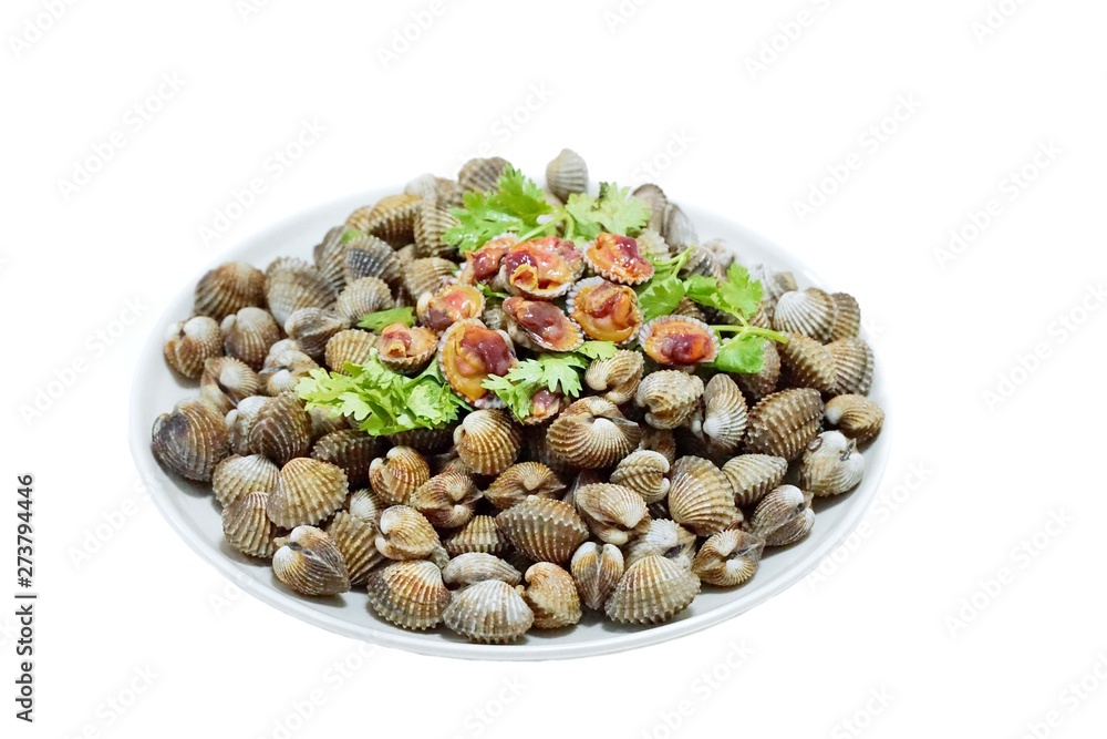 Soft focus of steamed cockles on white dish isolated on white background, This food is most popular, Selective focus Soft focus of steamed cockles on white dish isolated on white background, This food is most popular, Selective focus