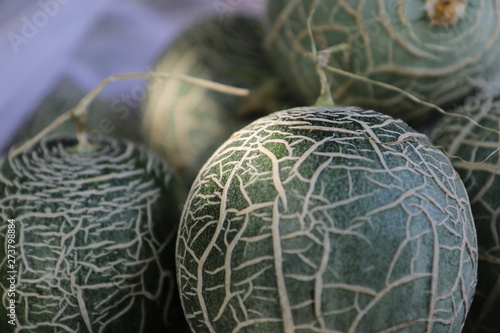 melon