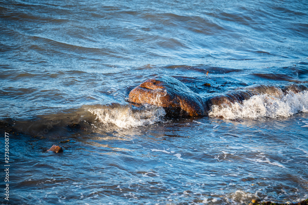 Obraz premium Geltingerbirk