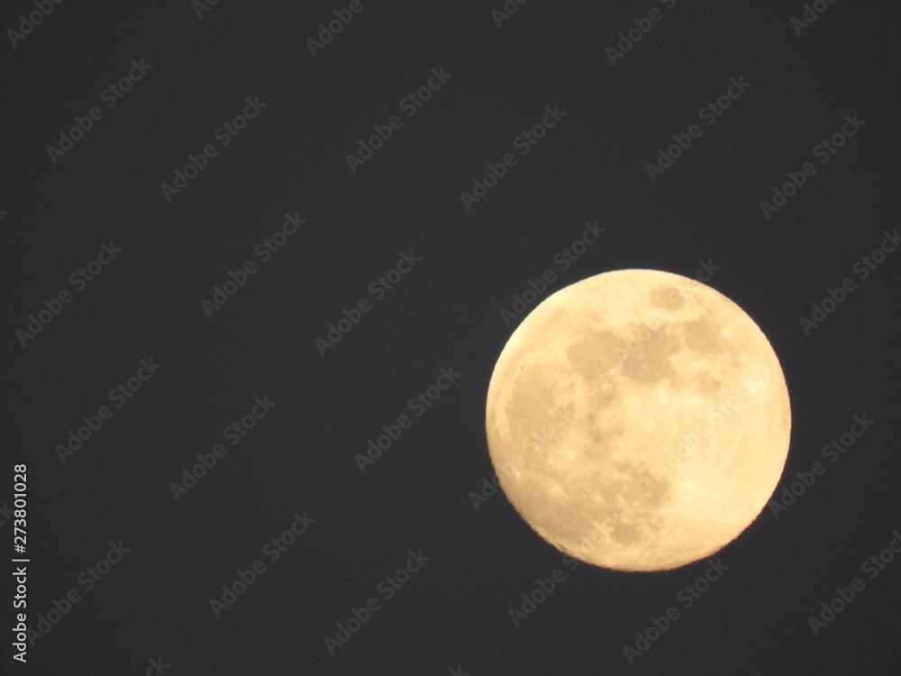 Fototapeta premium 満月までもう少し