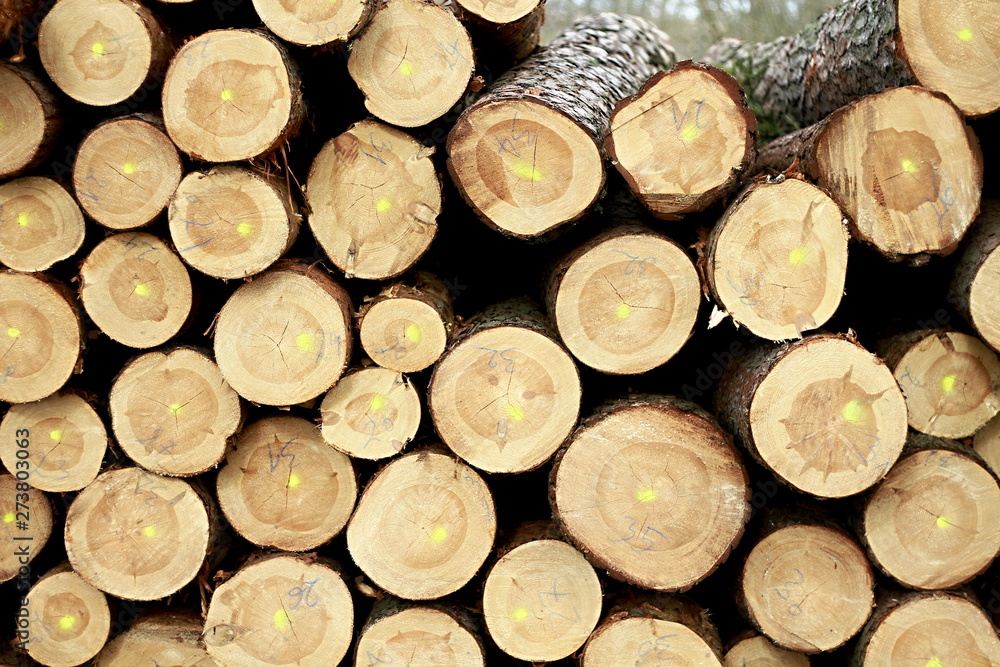 wood stacked up for burning no people stock image wood stacked up for burning no people stock image