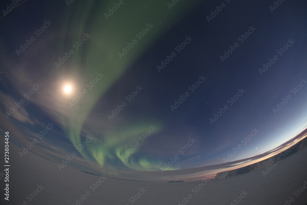 Aurora / オーロラ Aurora / オーロラ