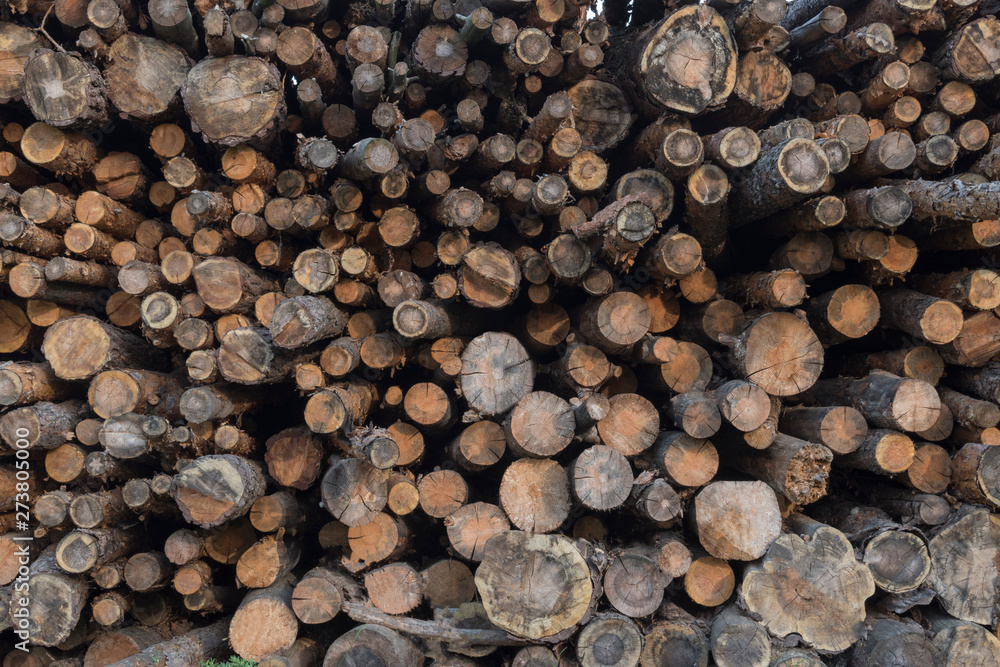 Stacked firewood chopped and placed in a pile; sawed log pieces ends showing