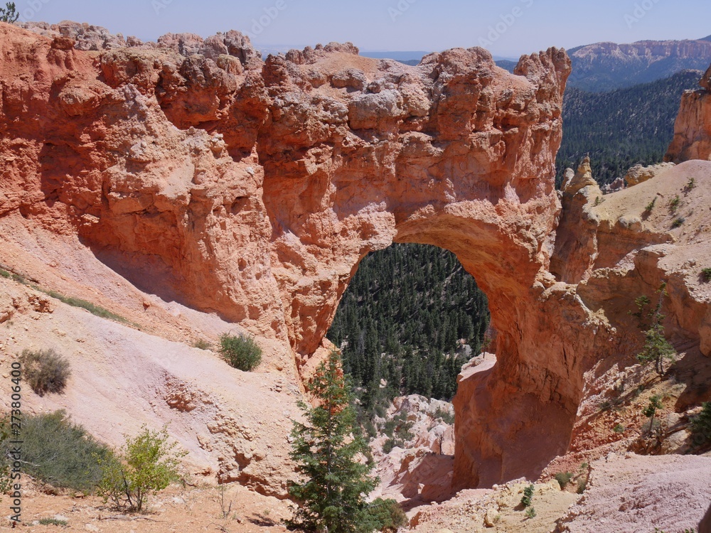 Cropped shot of the Natural Bridge, an 85-foot arch carved out of sedimentary red rock at Bryce Canyon National Park in Utah, with a view of the pine trees below.
