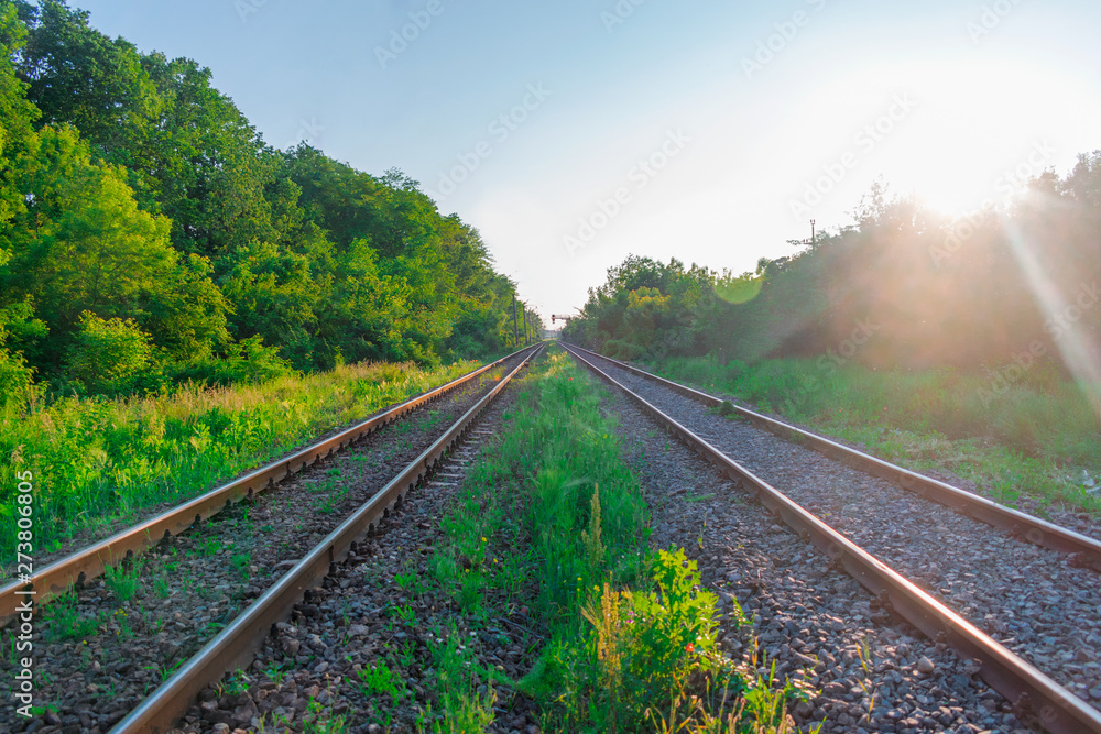 Fototapeta premium Railroad tracks stretching into the distance