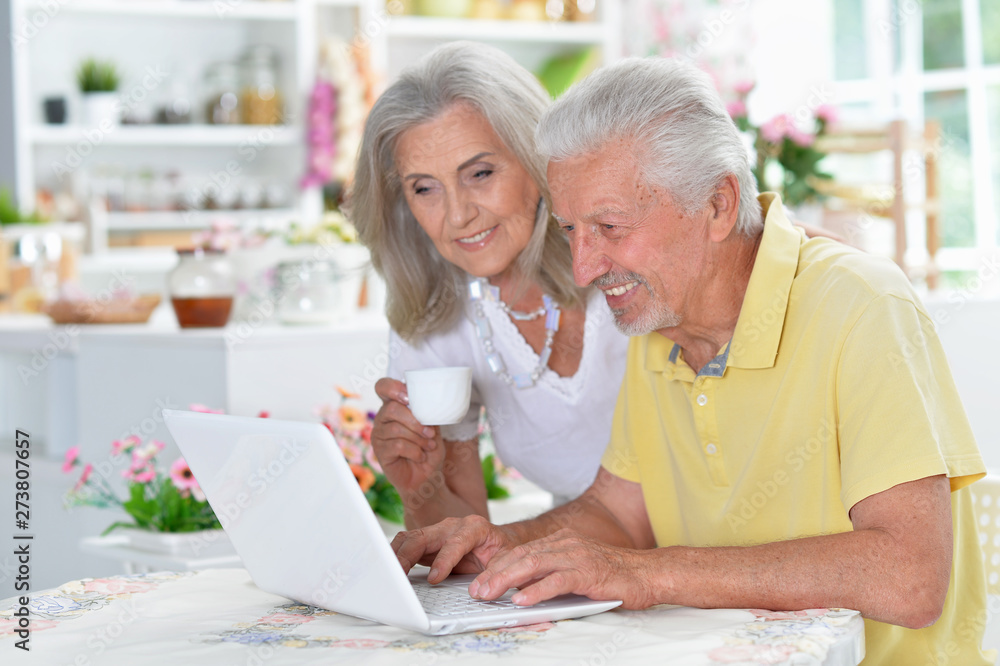 Portrait of happy senior couple using laptop Portrait of happy senior couple using laptop