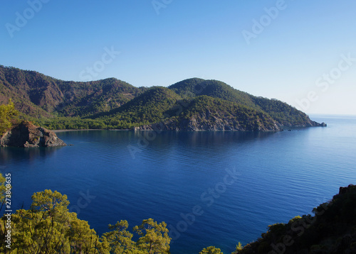 Beautiful summer seascape. Mountain coast of the blue sea. Rocks and forest near the ocean coast.