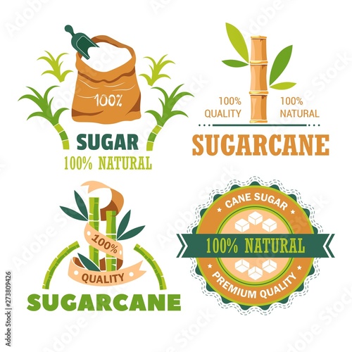 Sugar cane plantation farming and agriculture isolated icons
