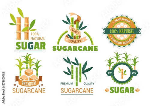Sugar cane isolated icons plant and sweetener production
