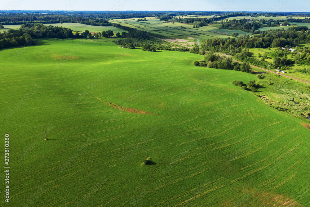 Green fields in summer time near Tukums, Latvia.