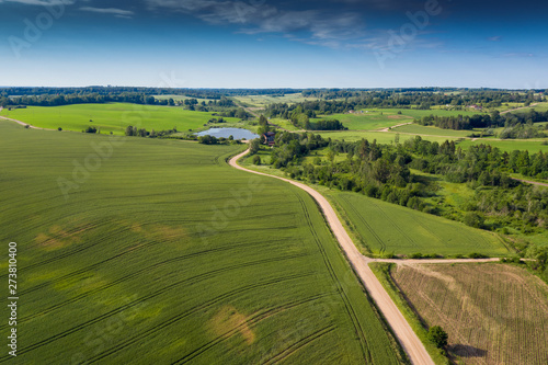 Green fields in summer time near Tukums, Latvia.