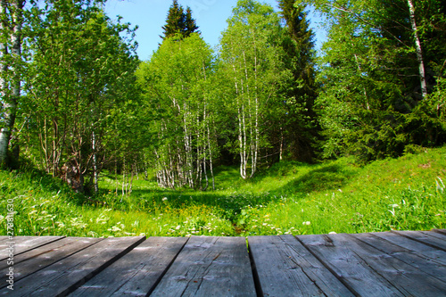 romantischer bachlauf mit brücke