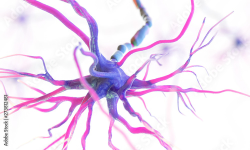 3d rendered medically accurate illustration of a human nerve cell on a white background