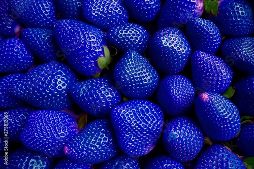 GENETICALLY MODIFIED FOODS GMO blue strawberry.Many blue strawberries stacked...
