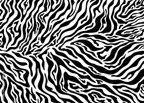 Zebra skin pattern design. Abstract animal print vector illustration background. Wildlife fur skin design illustration. For web  home decor  fashion  surface  graphic design