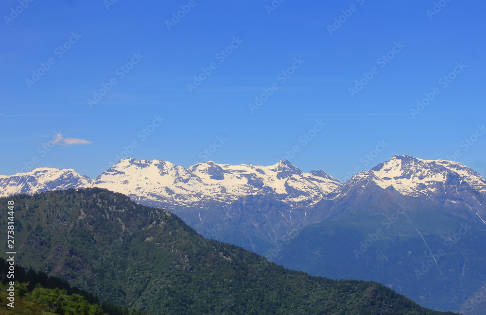 mountain range with snow and vegetation