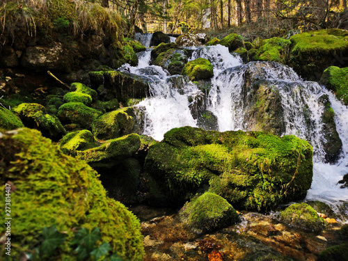 rivière en forêt - fraicheur