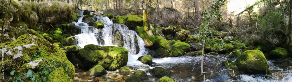 rivière en forêt - fraicheur