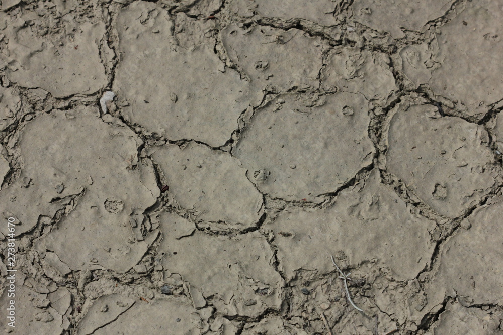 Fototapeta premium Ground
