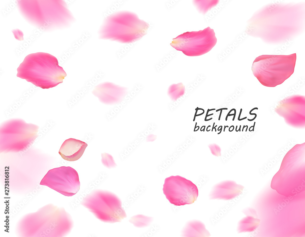 Vector bright rose petals fall down. A lot of pink petals on white background. Nature horizontal backdrop.