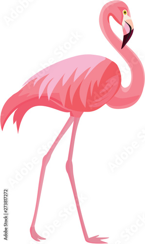 Pink flamingo on a white background. Vector illustration. photo