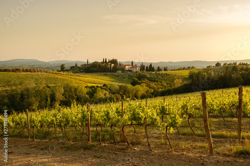 Tuscany sunny landscape. Typical for the region tuscan farm house, hills, vineyard. Italy photo