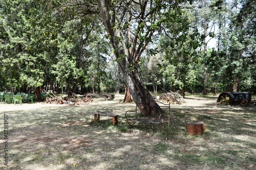 Carine Blixen Museum Garden- Nairobi photo