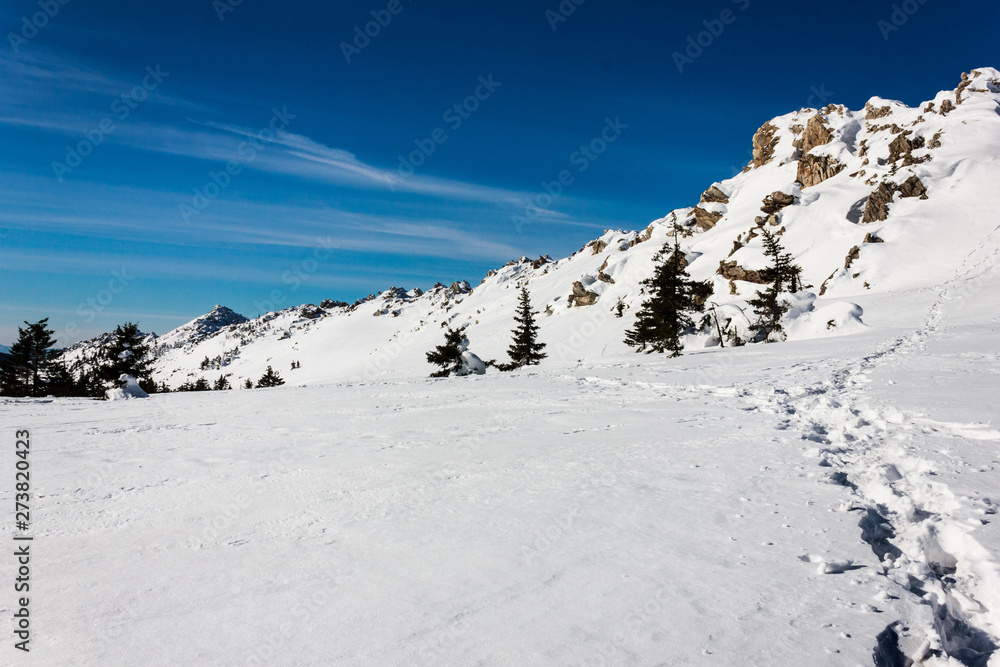  Footprints of a traveler in the deep snow, walking in the mountains on a bright winter sunny day