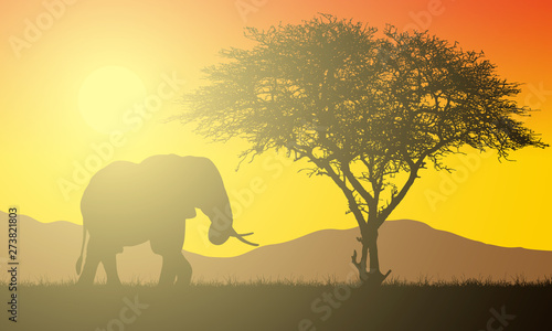 Realistic illustration of African landscape with safari, tree and elephant under orange sky with rising sun. Sunshine and sunbeam, vector