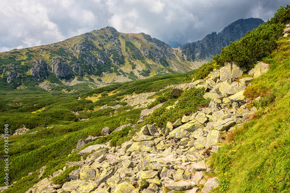 Tourist route in summer High Tatra mountains, scenic landscape with rocks, green grass and dramatic cloudy sky, outdoor travel background, Strbske Pleso region, Slovakia (Slovensko)