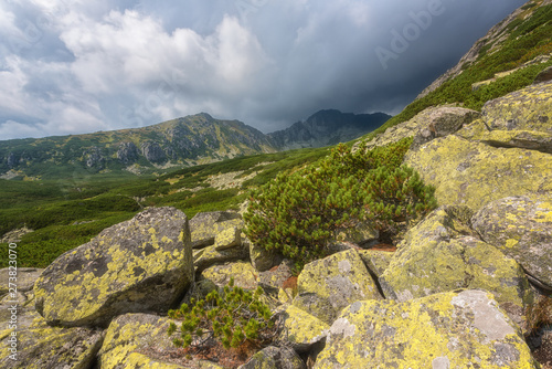 Tourist route in summer High Tatra mountains, scenic landscape with rocks, green grass and dramatic cloudy sky, outdoor travel background, Strbske Pleso region, Slovakia (Slovensko)