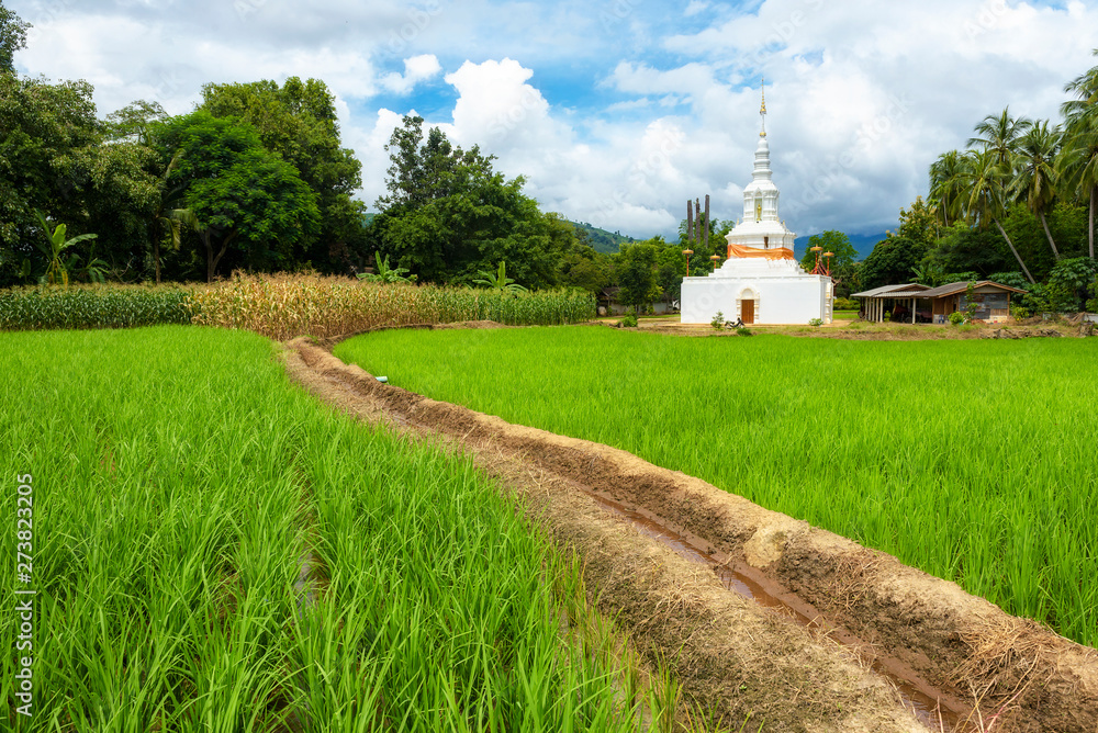 Beautiful terrace rice fields in Mae chaem, Chaing Mai, Thailand, background. Beautiful terrace rice fields in Mae chaem, Chaing Mai, Thailand, background.