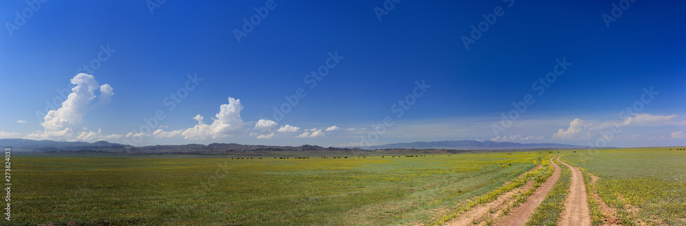 Panorama of the blooming steppe. The road, the mountains on the horizon, the clouds. Panorama of the blooming steppe. The road, the mountains on the horizon, the clouds.
