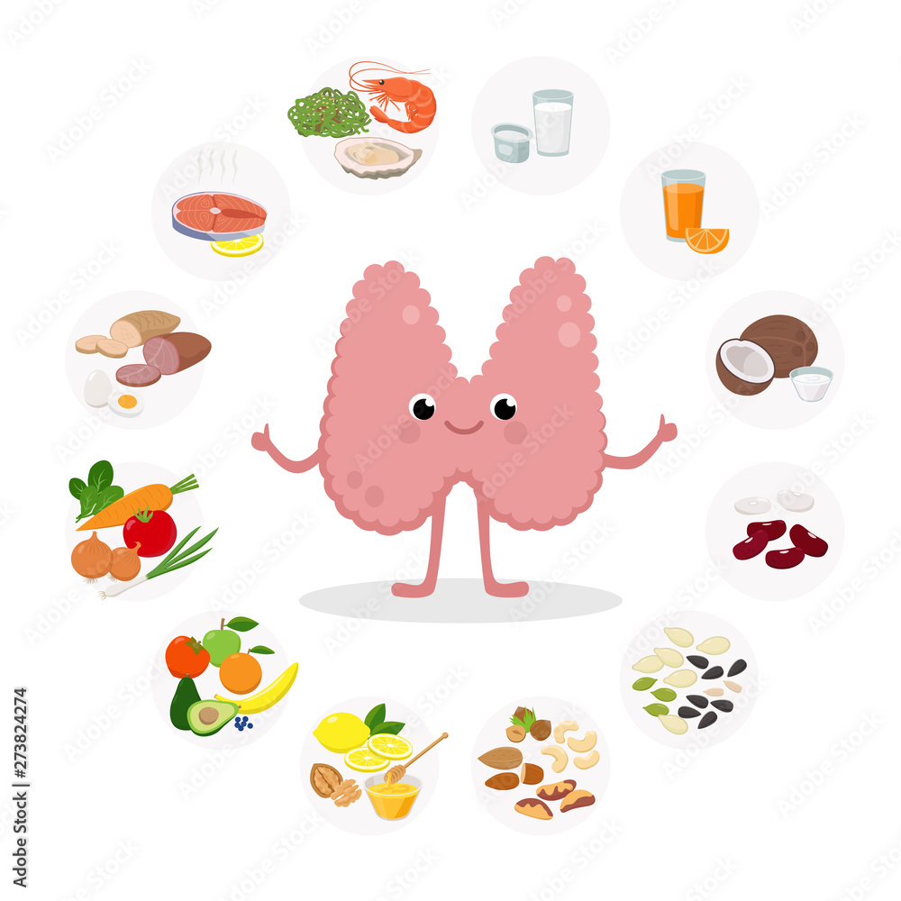 Cute Thyroid Gland Cartoon character vector illustration and Healthy Food  for the thyroid health - set of icons in flat design isolated on white  background. Medical Infographic elements. Stock Vector | Adobe Stock