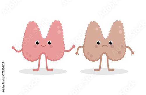 Healthy Happy Thyroid and Upset Unhealthy Thyroid cartoon characters isolated on white background. Vector illustration in flat design.