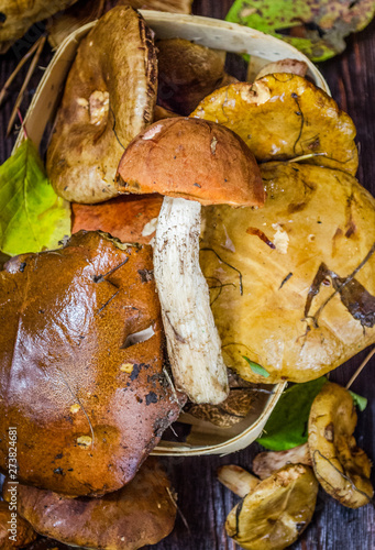 edible mushrooms on the table