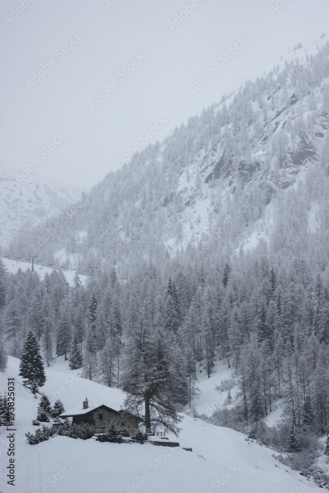 Fototapeta premium Winter snow day