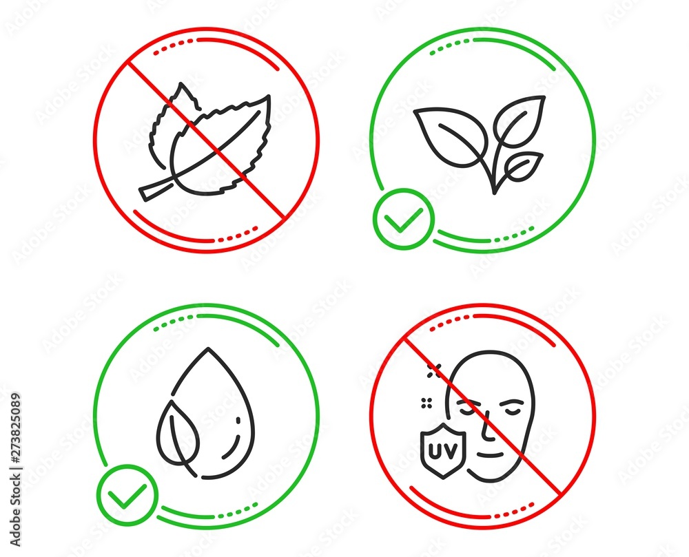 Do or Stop. Leaves, Leaf dew and Mint leaves icons simple set. Uv protection sign. Grow plant, Water drop, Mentha herbal. Ultraviolet. Healthcare set. Line leaves do icon. Prohibited ban stop. Vector Do or Stop. Leaves, Leaf dew and Mint leaves icons simple set. Uv protection sign. Grow plant, Water drop, Mentha herbal. Ultraviolet. Healthcare set. Line leaves do icon. Prohibited ban stop. Vector