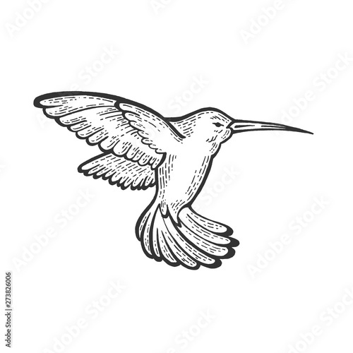 Humming bird animal sketch engraving vector illustration. Scratch board style imitation. Hand drawn image.