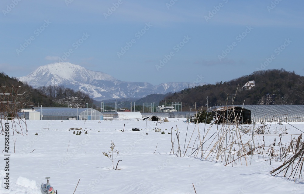 積雪した畑から見える滋賀県の名峰、伊吹山を望む冬景色です 積雪した畑から見える滋賀県の名峰、伊吹山を望む冬景色です