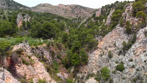 Aerial drone view of a pine forest in Alicante, Spain. Mountains in the background photo