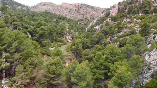 Aerial drone view of a pine forest in Alicante, Spain. Mountains in the background photo