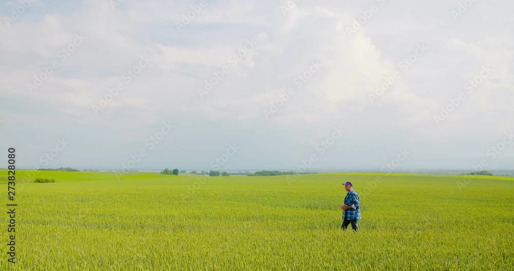 farmer examining agriculture field on farm farmer examining agriculture field on farm