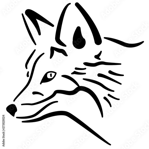 Renard